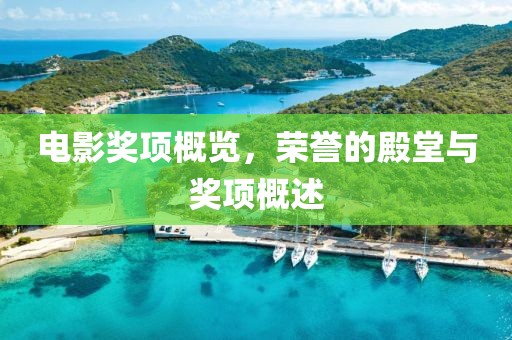 電影獎(jiǎng)項(xiàng)概覽，榮譽(yù)的殿堂與獎(jiǎng)項(xiàng)概述