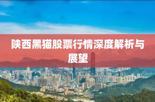 陜西黑貓股票行情深度解析與展望