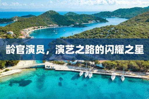 齡官演員，演藝之路的閃耀之星