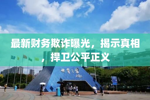 最新財(cái)務(wù)欺詐曝光，揭示真相，捍衛(wèi)公平正義