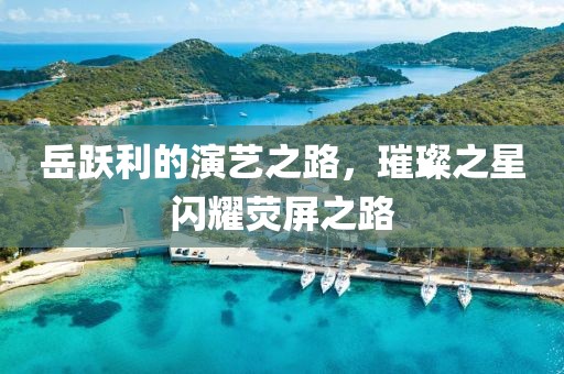 岳躍利的演藝之路，璀璨之星閃耀熒屏之路