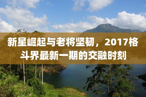 新星崛起與老將堅(jiān)韌，2017格斗界最新一期的交融時(shí)刻
