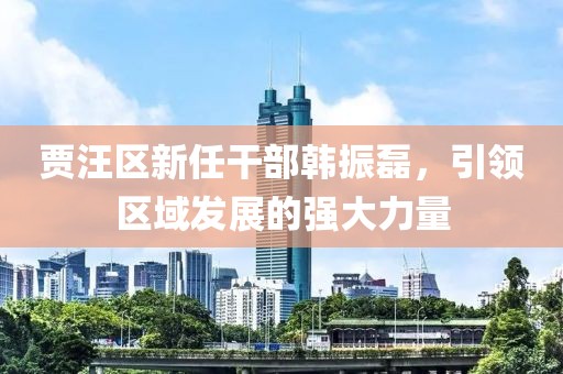 賈汪區(qū)新任干部韓振磊，引領(lǐng)區(qū)域發(fā)展的強(qiáng)大力量