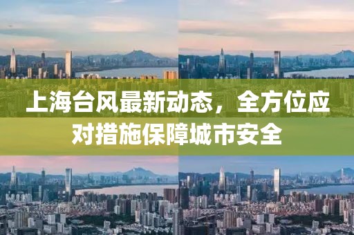 上海臺風(fēng)最新動態(tài)，全方位應(yīng)對措施保障城市安全