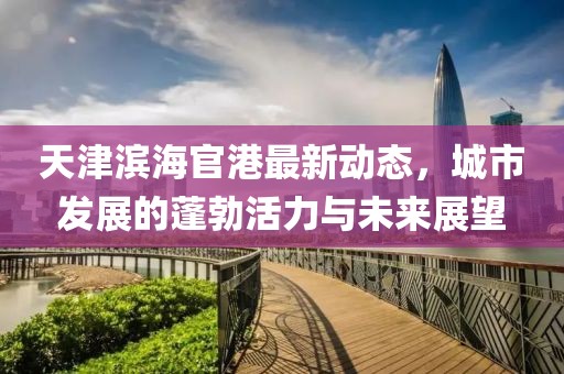 天津濱海官港最新動態(tài)，城市發(fā)展的蓬勃活力與未來展望