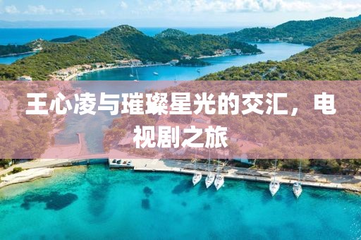 王心凌與璀璨星光的交匯，電視劇之旅