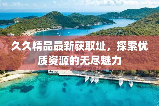 久久精品最新獲取址，探索優(yōu)質(zhì)資源的無(wú)盡魅力
