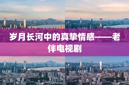歲月長(zhǎng)河中的真摯情感——老伴電視劇