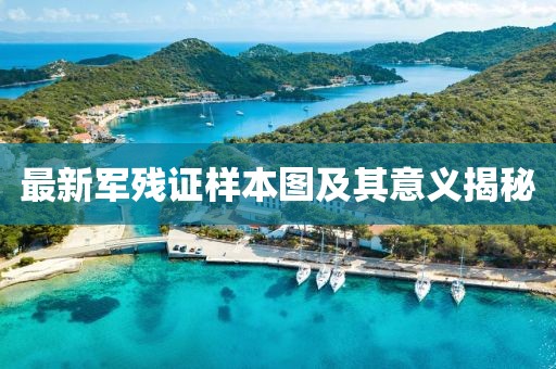最新軍殘證樣本圖及其意義揭秘