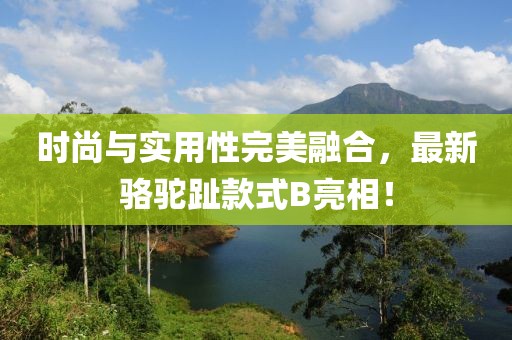 時(shí)尚與實(shí)用性完美融合，最新駱駝趾款式B亮相！