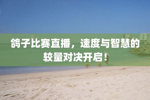 鴿子比賽直播，速度與智慧的較量對決開啟！