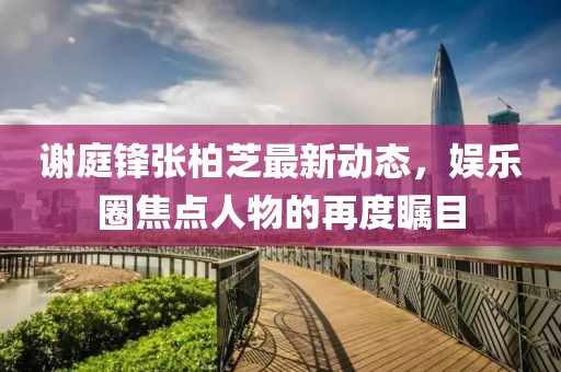 謝庭鋒張柏芝最新動(dòng)態(tài)，娛樂(lè)圈焦點(diǎn)人物的再度矚目