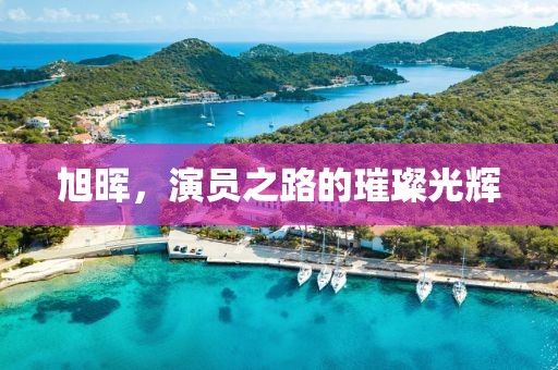 旭暉，演員之路的璀璨光輝