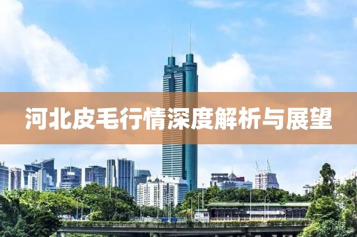 河北皮毛行情深度解析與展望