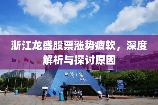 浙江龍盛股票漲勢(shì)疲軟，深度解析與探討原因