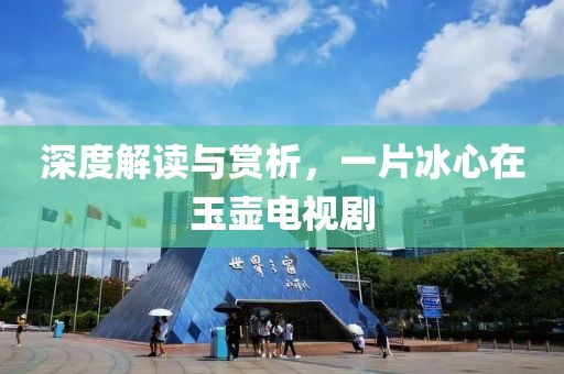 深度解讀與賞析，一片冰心在玉壺電視劇