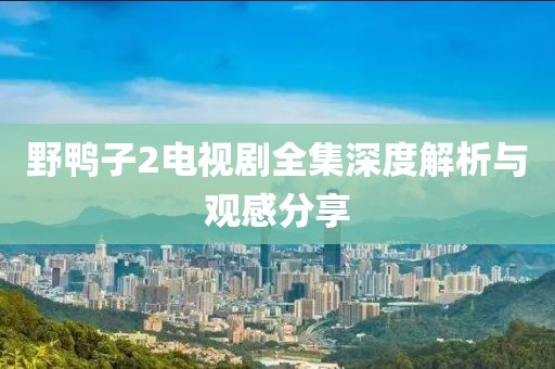 野鴨子2電視劇全集深度解析與觀感分享