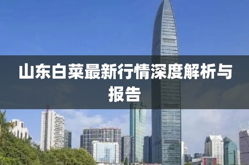 山東白菜最新行情深度解析與報(bào)告