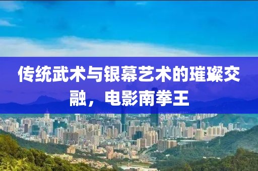 傳統(tǒng)武術(shù)與銀幕藝術(shù)的璀璨交融，電影南拳王