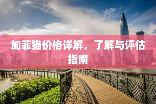 加菲貓價(jià)格詳解，了解與評(píng)估指南