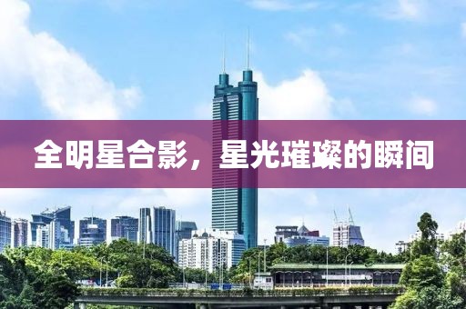 全明星合影，星光璀璨的瞬間