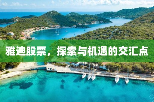 雅迪股票，探索與機(jī)遇的交匯點(diǎn)