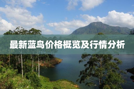 最新藍(lán)鳥(niǎo)價(jià)格概覽及行情分析