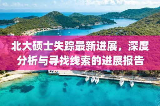 北大碩士失蹤最新進(jìn)展，深度分析與尋找線索的進(jìn)展報(bào)告