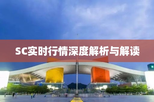 SC實時行情深度解析與解讀