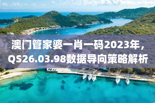 澳門管家婆一肖一碼2023年，QS26.03.98數(shù)據(jù)導(dǎo)向策略解析