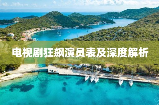 電視劇狂飆演員表及深度解析