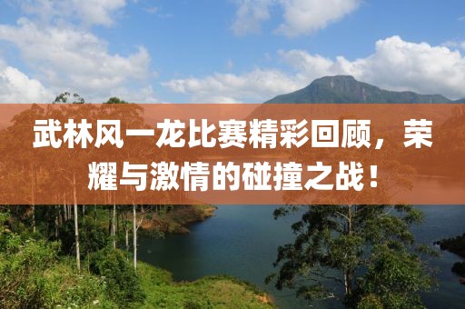 武林風(fēng)一龍比賽精彩回顧，榮耀與激情的碰撞之戰(zhàn)！