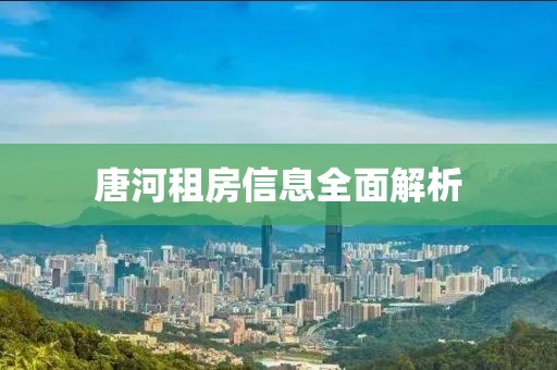 唐河租房信息全面解析