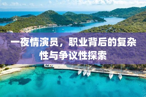 一夜情演員，職業(yè)背后的復(fù)雜性與爭(zhēng)議性探索