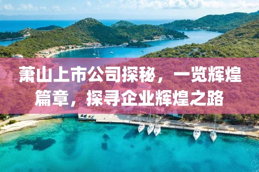 蕭山上市公司探秘，一覽輝煌篇章，探尋企業(yè)輝煌之路