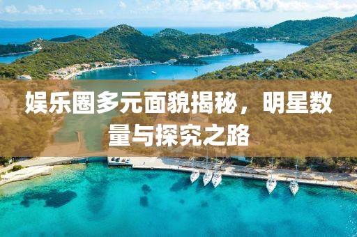 娛樂圈多元面貌揭秘，明星數(shù)量與探究之路