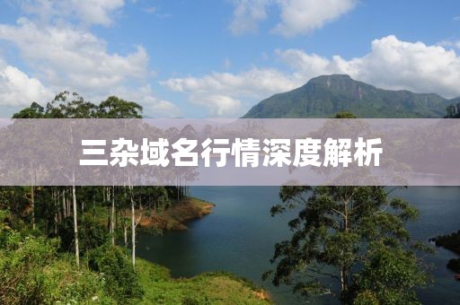 三雜域名行情深度解析