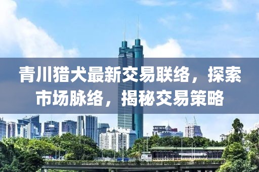 青川獵犬最新交易聯(lián)絡(luò)，探索市場脈絡(luò)，揭秘交易策略
