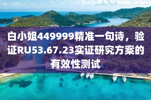 白小姐449999精準一句詩，驗證RU53.67.23實證研究方案的有效性測試