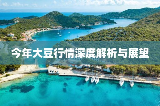今年大豆行情深度解析與展望
