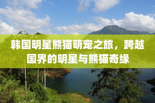 韓國(guó)明星熊貓萌寵之旅，跨越國(guó)界的明星與熊貓奇緣