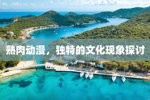 熟肉動(dòng)漫，獨(dú)特的文化現(xiàn)象探討