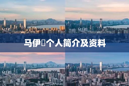 馬伊琍個人簡介及資料