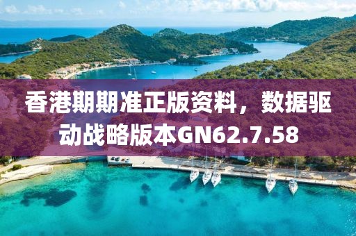 香港期期準(zhǔn)正版資料，數(shù)據(jù)驅(qū)動(dòng)戰(zhàn)略版本GN62.7.58