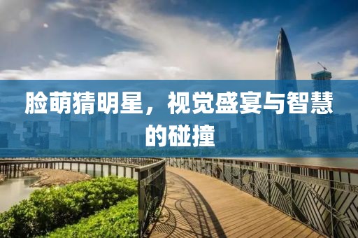 臉萌猜明星，視覺(jué)盛宴與智慧的碰撞
