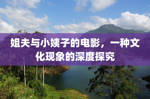 姐夫與小姨子的電影，一種文化現象的深度探究