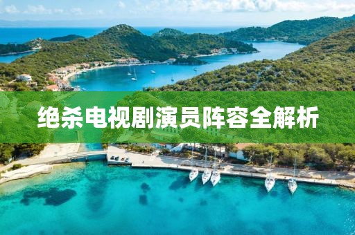 絕殺電視劇演員陣容全解析