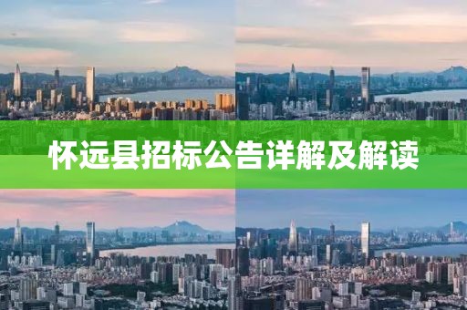 懷遠縣招標(biāo)公告詳解及解讀