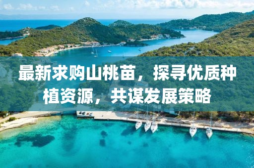 最新求購山桃苗，探尋優(yōu)質(zhì)種植資源，共謀發(fā)展策略