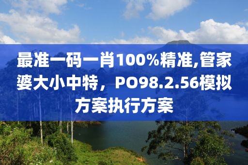 最準(zhǔn)一碼一肖100%精準(zhǔn),管家婆大小中特，PO98.2.56模擬方案執(zhí)行方案